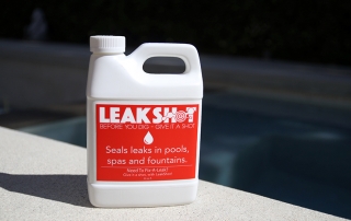 new leaking pool